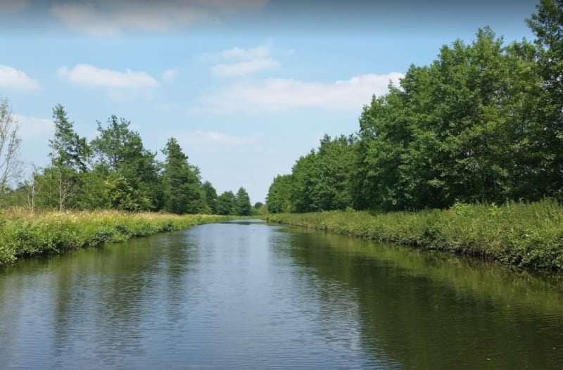 Ruisseau de Gourgouche et observer les oiseaux - Rejet-de-Beaulieu
