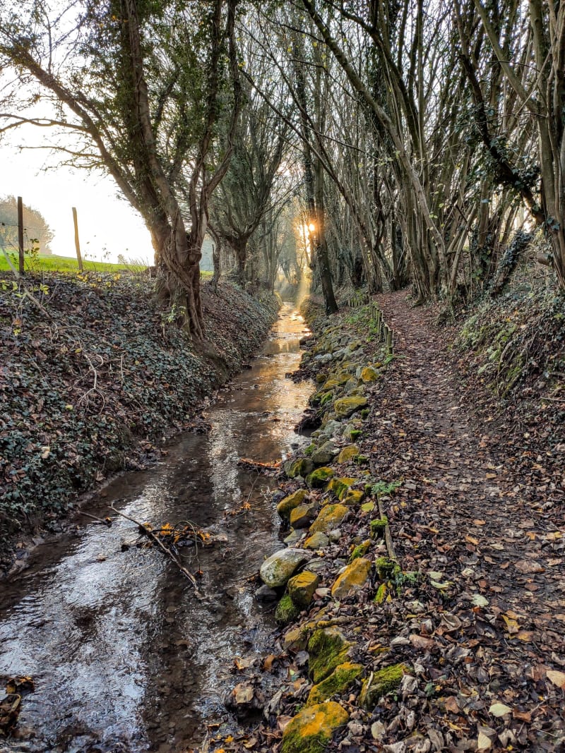 Amettes et sa balade champêtre le long de la Coqueline - Amettes
