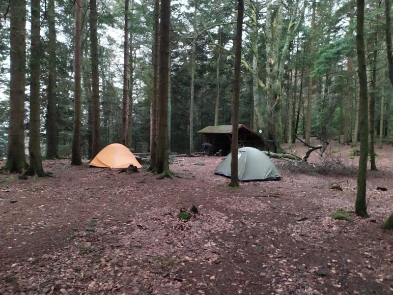 Bivouac au Taennchel entre copains - Thannenkirch