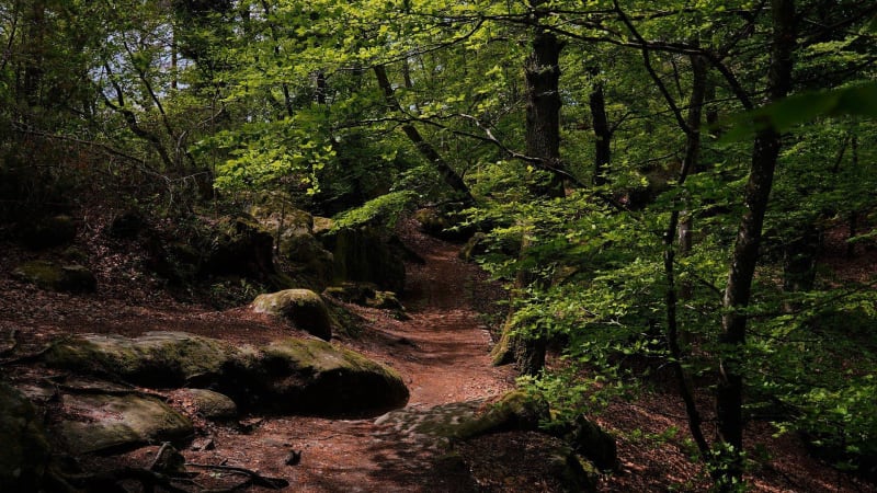 Randonnée dans la vallée de la Mée - Le Vaudoué