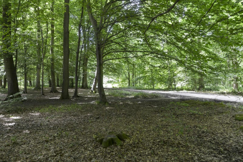 Balade entre Houppeville et Mont-Saint-Aignan par le GR® 210 - Houppeville