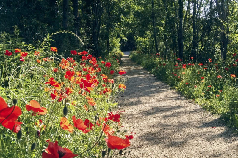 Boucle dans le parc de Lomme et moment de détente - Lomme