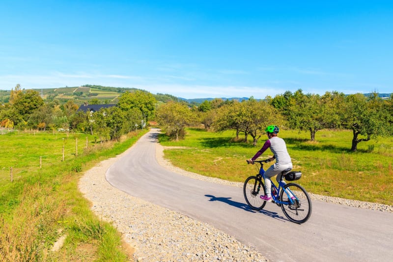 Balade à vélo à travers les vignes et vergers d'Irigny - Irigny