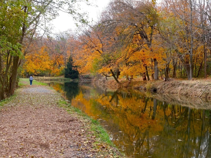 Canal de l'Ourcq et parc de la Poudrerie depuis Villeparisis - Villeparisis