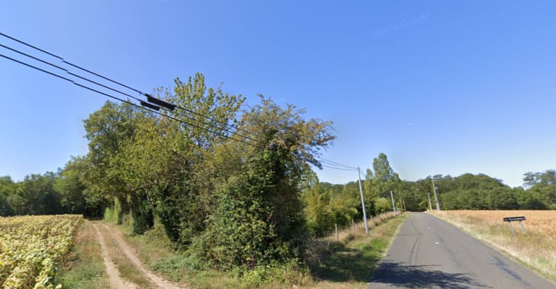 Korte wandeling in Tercé, door velden en struikgewas - Tercé
