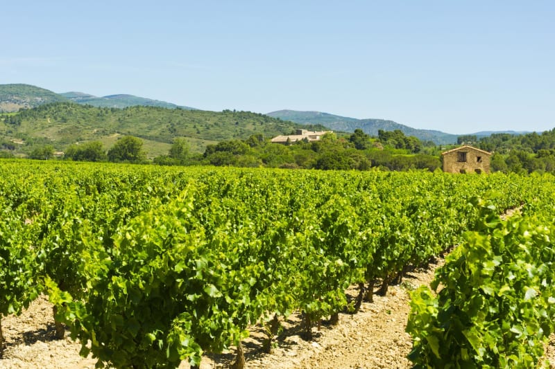 Uitje naar de causse van Millau in Rouet - Rouet