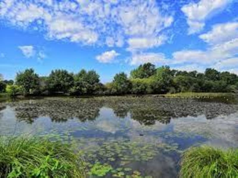 Bédée et rencontres sauvages dans la campagne rennaise - Bédée