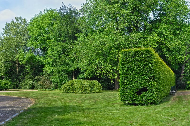 Parcours santé au parc Michel d'Ornano - Caen