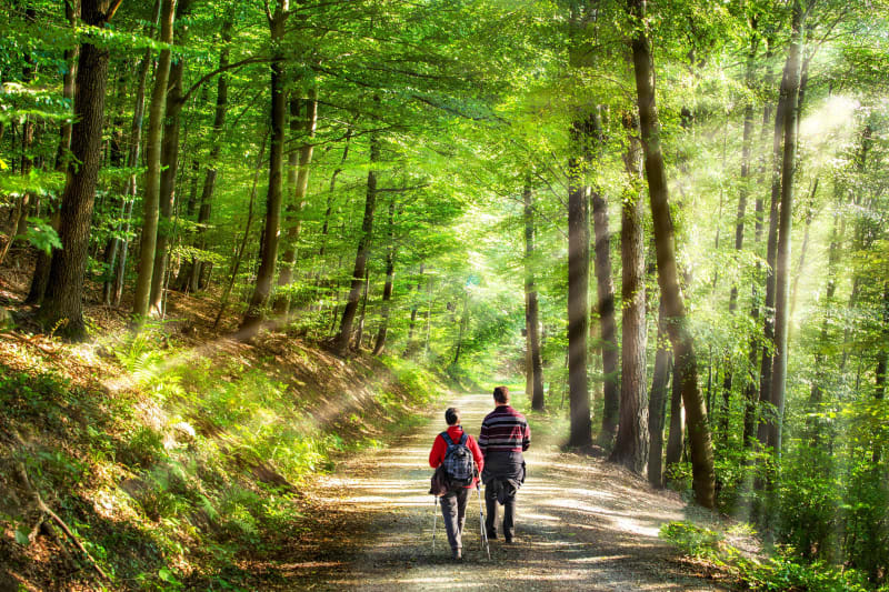 Bois de Rombly et petite balade à Etaples - Les Pins, Etaples
