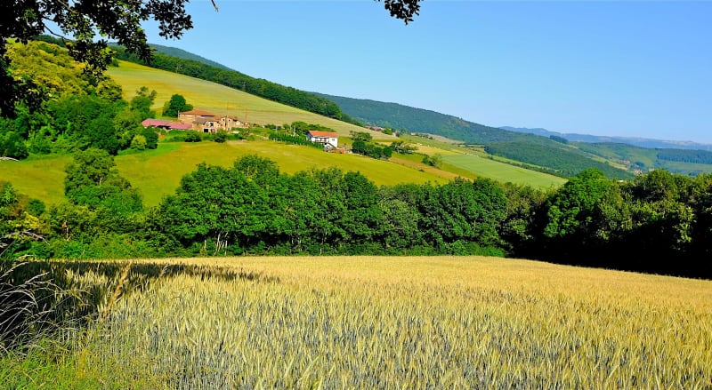 Petite balade champêtre depuis la Croix du Mazet - Sainte-Croix-en-Jarez