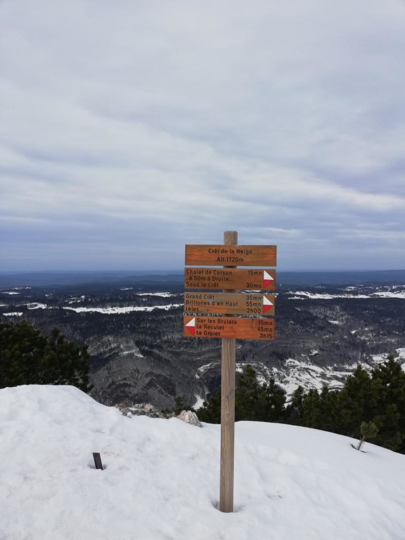 Ascension au Crêt de la Neige et beautés de la montagne - Lélex