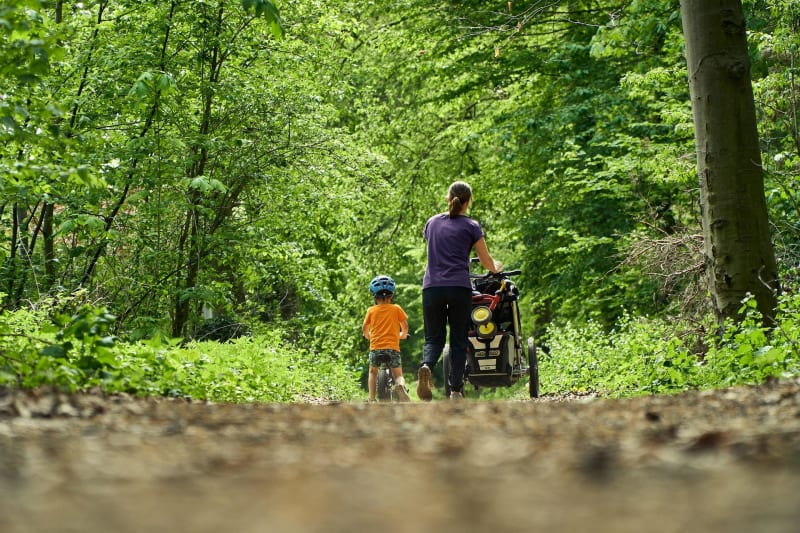 Balade dans le bois des Lieux à Vauréal - Vauréal