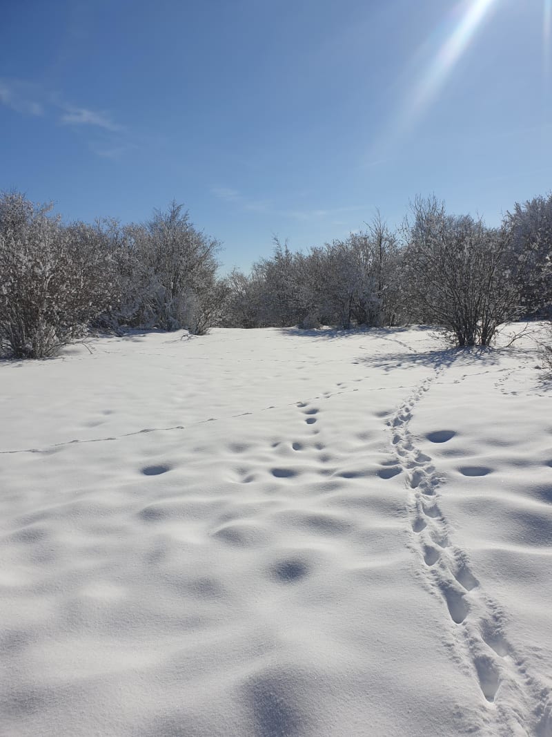Beaumont Heights en sneeuwschoenwandeling naar Grand Piton - Beaumont