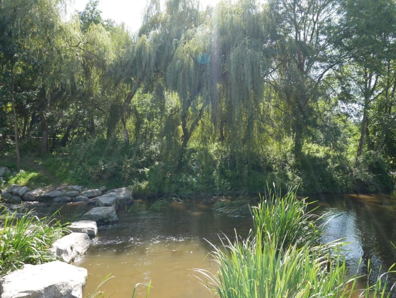 Forcé et ses merveilleux pas japonais sur l’eau - Rochevier