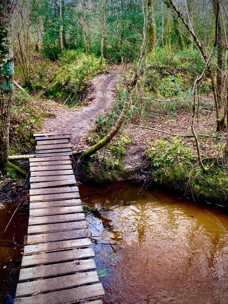 Bain de forêt et moment de détente autour de Caupian - Caupian, Saint-Médard-en-Jalles