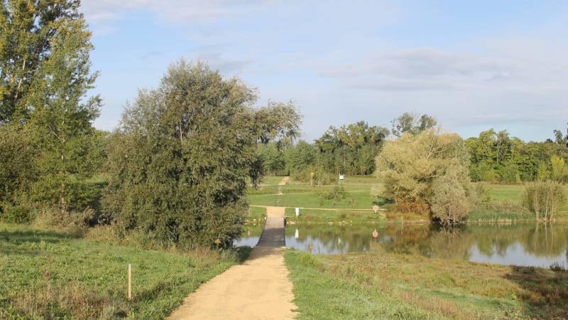 Trésors lacustres de Pélissier et Passeligne et balade à Boé - Boé