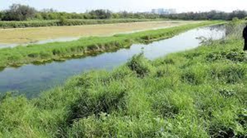 Marais salant de Tasdon et virée entre La Rochelle et Aytré - Aytré