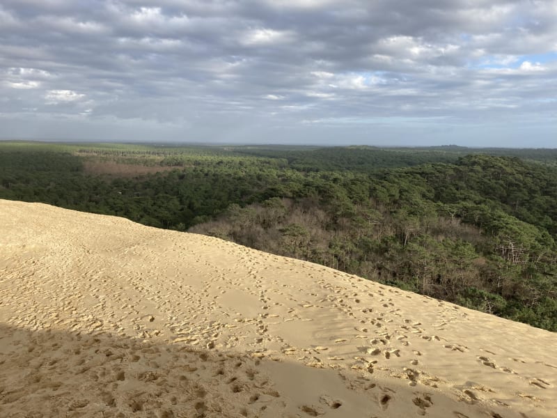 Balade le long des ports et beauté du bassin d'Arcachon - Ville de Printemps