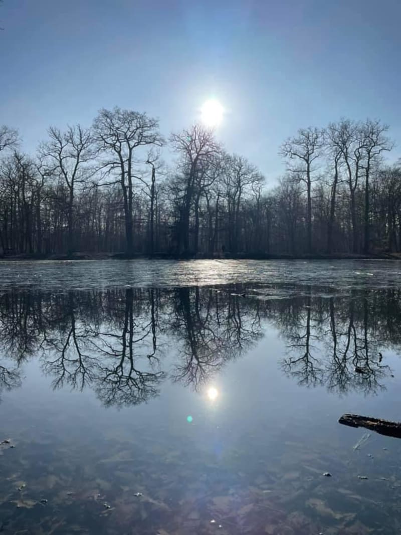 Bol d’air frais en forêt et pédaler à Saint-Germain-en-Laye - Saint-Germain-en-Laye