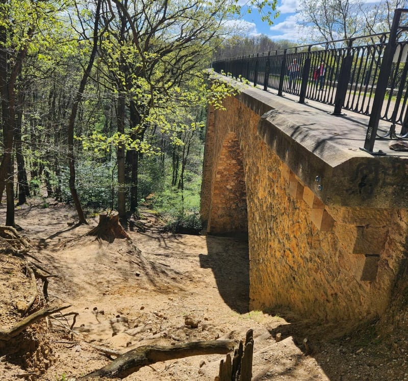 Découverte de Gif-sur-Yvette et sa forêt somptueuse - Bures-sur-Yvette