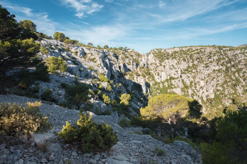 Col Galvaudan et vallon de la Vigie à Marseille - Marseille
