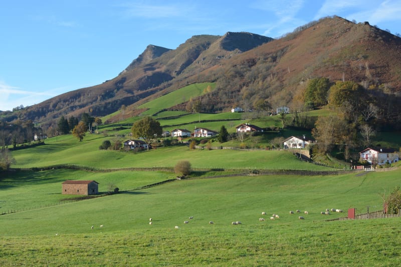 Découvrir le Pic d’Iparla et le vol majestueux des vautours - Bidarray