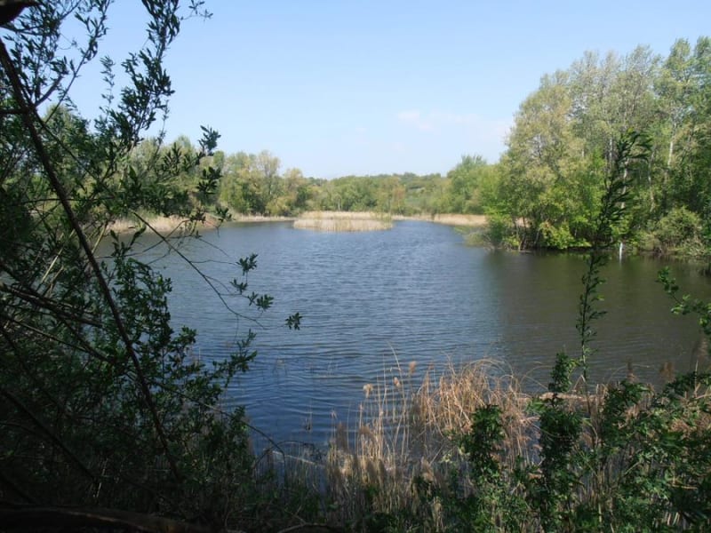 Etang de Haute-Jarrie et réserve naturelle près d'Echirolles - Jarrie