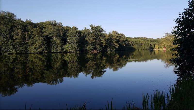 Bois des Cinq-Cents-Arpents et nature aux mille facettes - Les Essarts-le-Roi