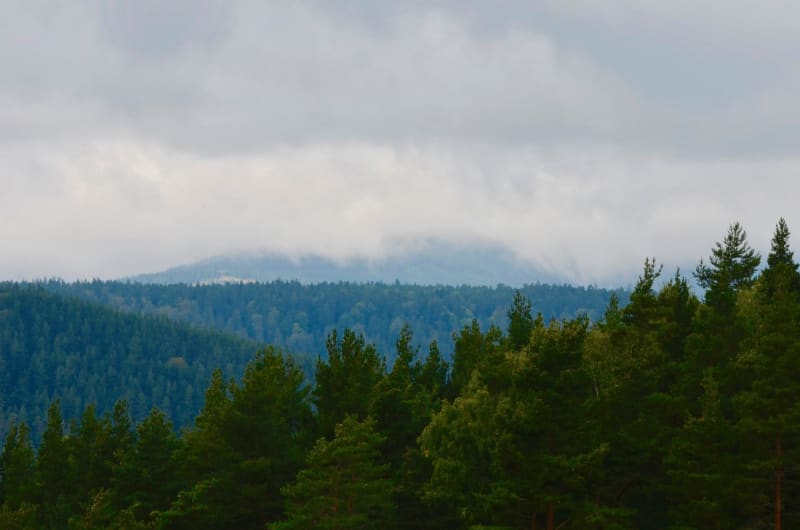 Au cœur des forêts des Ballons des Vosges - Rimbach-prés-Guebwiller