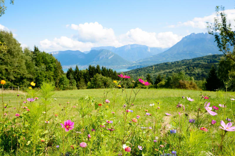 Longue randonnée dans la campagne depuis Ruffieux - Ruffieux