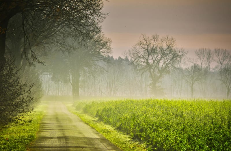 Balade forestière et champêtre à Cires-lès-Mello - Cires-lès-Mello