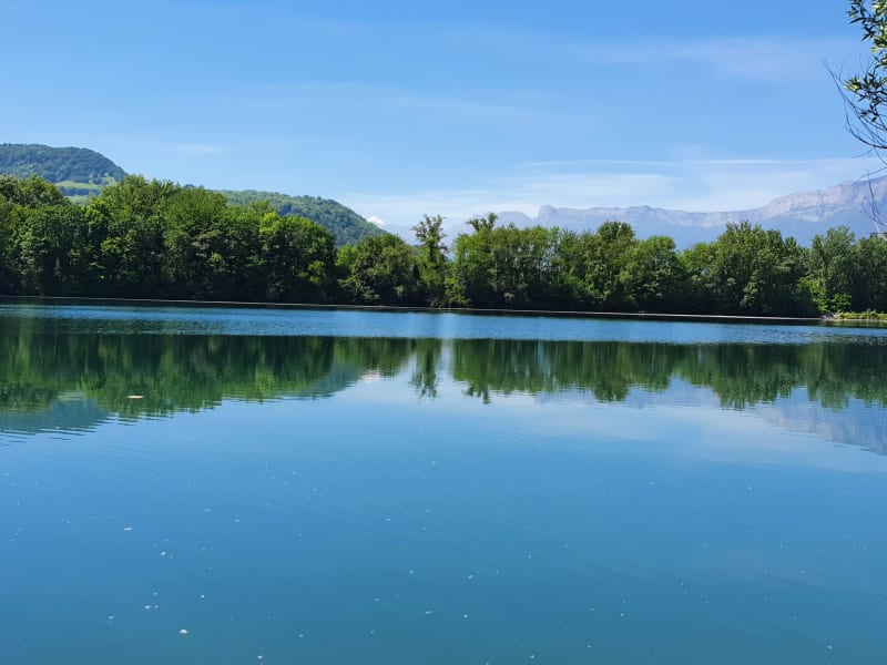 Lac de la Taillat et îlot de nature à Meylan - Meylan
