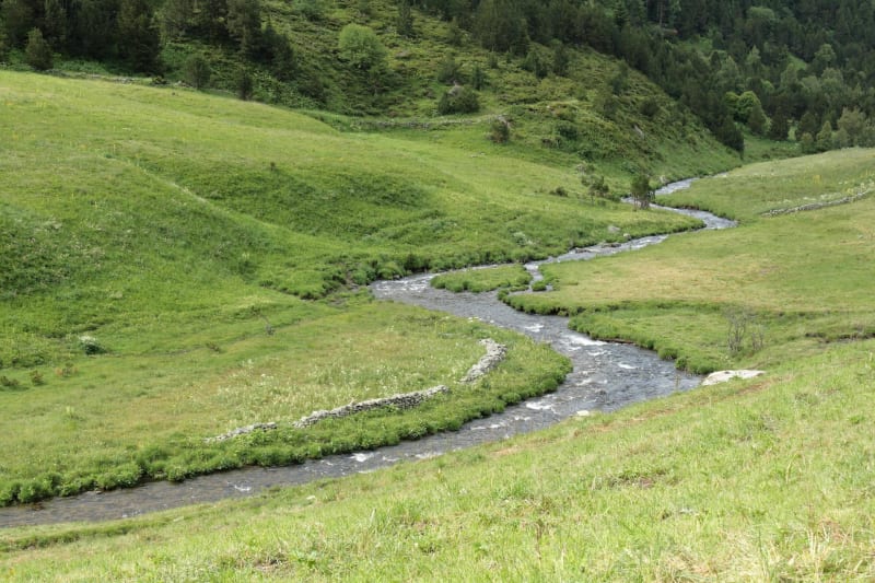 Forêt de Mérens et ruisseau du Mourgillou sur le GR® 10 - Mérens-les-Vals