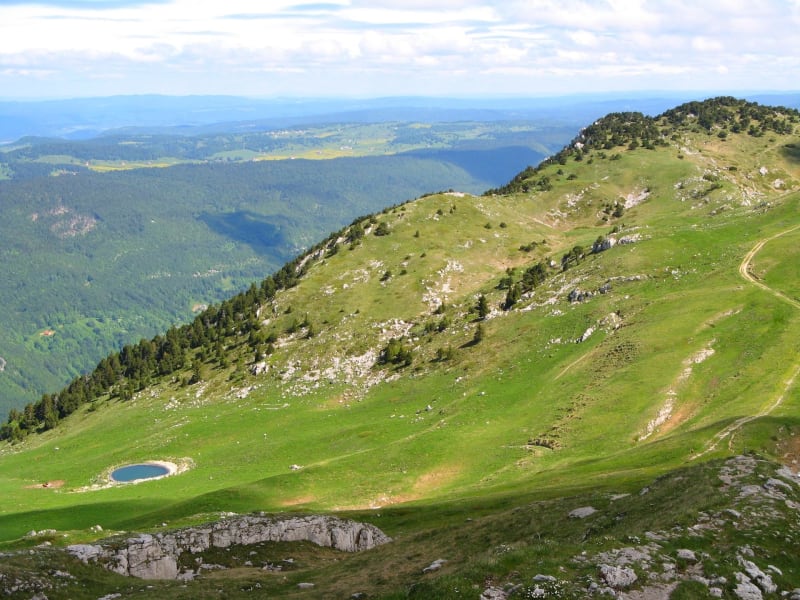 Randonnée jusqu'au Crêt de la Neige et GR® du Jura - Lélex