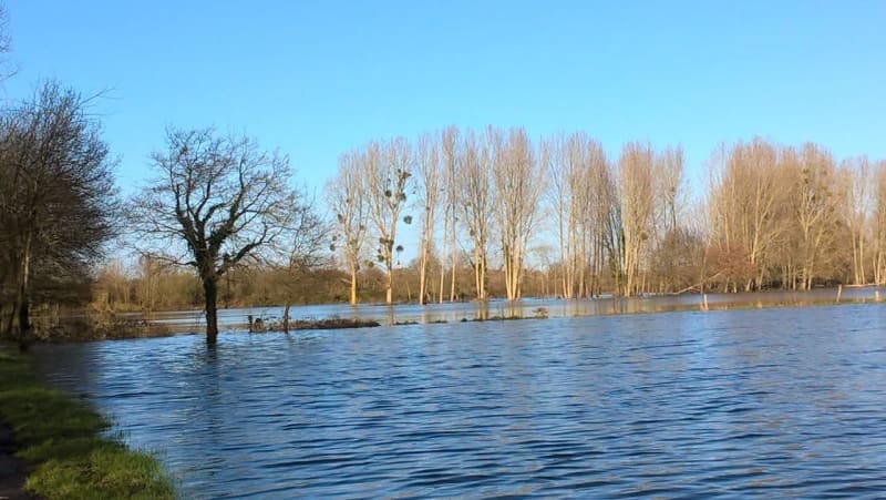 Lillemer en zijn magische zwarte moeras tussen land en zee - Lillemer