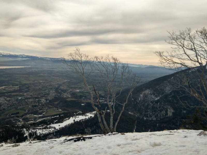 Alpages de Mijoux et beauté du massif du Jura - Mijoux