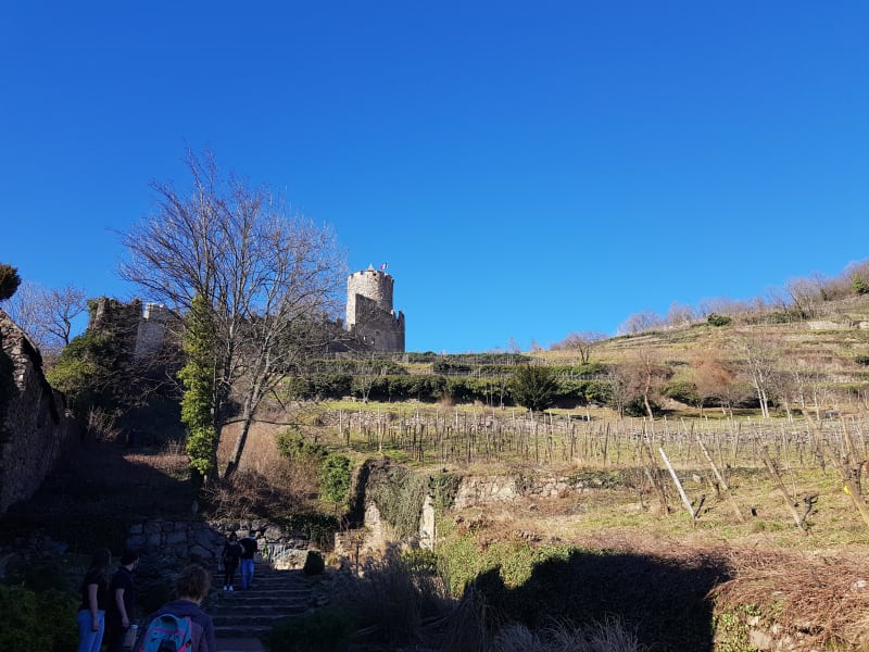 Schlossberg et ses vignobles de Kaysersberg à Riquewhir - Kayserbserg