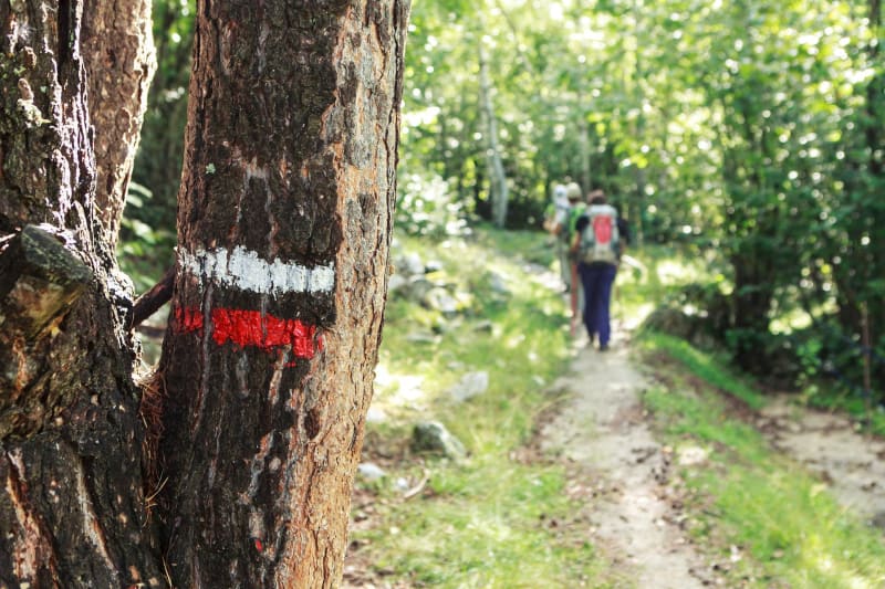 Retournac et randonnée sur le GR® 3 dans la forêt de Miaune - Retournac