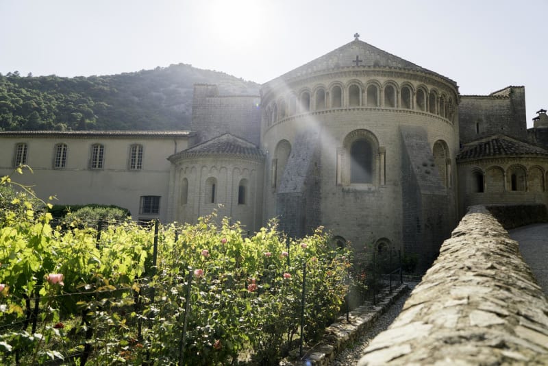 Saint-Guilhem-le-Désert et la boucle du baume de l'olivier - Saint-Guilhem-le-Désert
