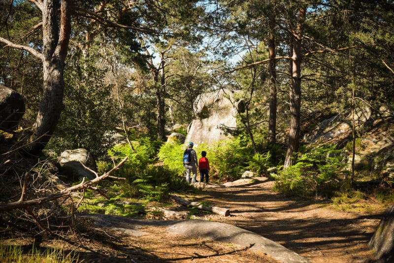 Fontainebleau et passer une belle journée en forêt - Fontainebleau
