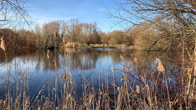 Hergnies et la découverte des marais de la Vergne - Hergnies