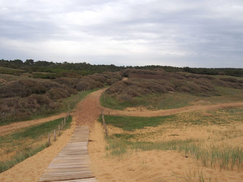 GR® 8 et bain de nature autour des Sables-d’Olonne - Moulin de la Salle, Olonne-sur-Mer