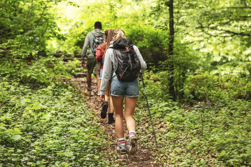 Découverte des bois de Torcieu et fraicheur de vivre - Torcieu