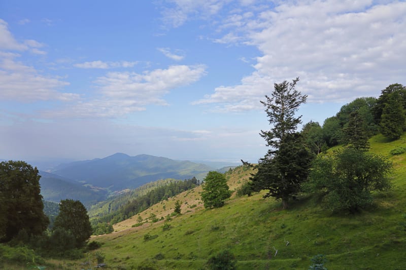 Mont Hohenstein, non loin de la cascade du Nideck - Oberhaslach