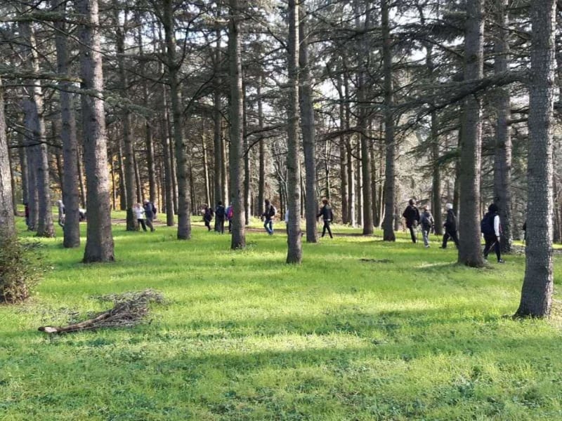 Parilly Park en met bomen omzoomde wandeling rond Lyon - Bron