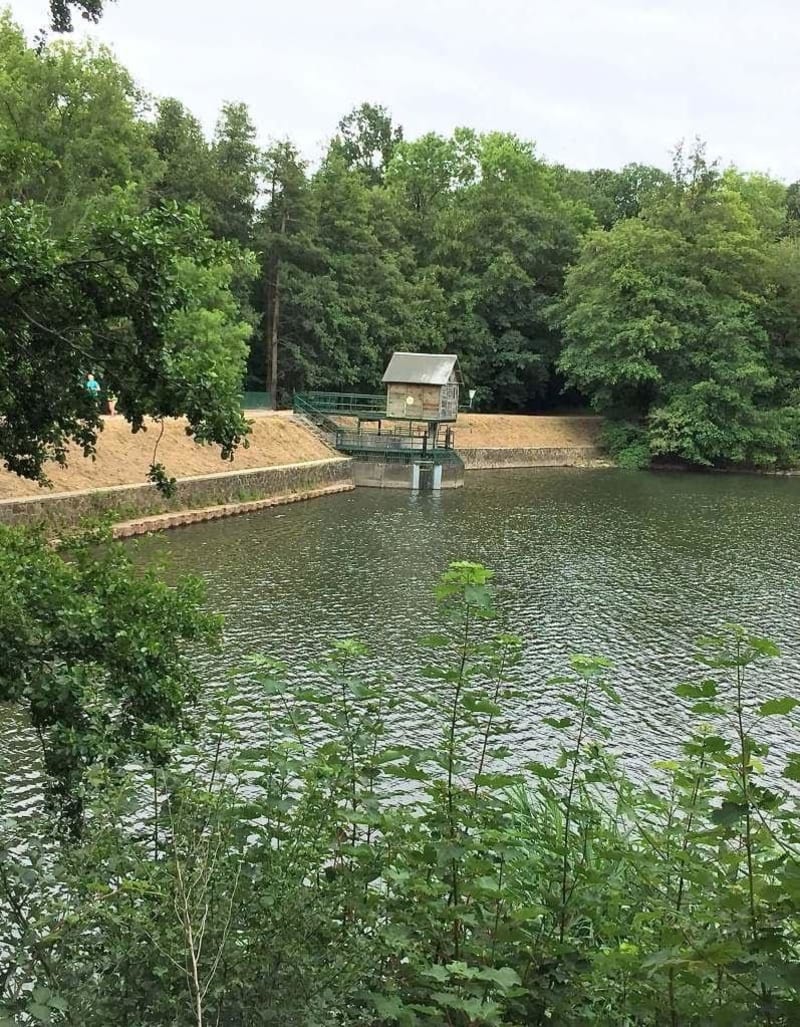 21 kilomètres à travers la forêt domaniale de Versailles - Guyancourt
