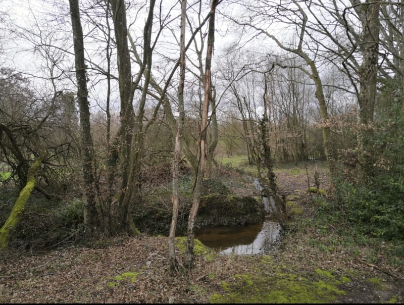 Betton et promenade tout en douceur au fil de l'eau - Betton