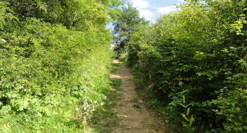 Charmes de la campagne de Maurepas et douce virée en forêt - Maurepas