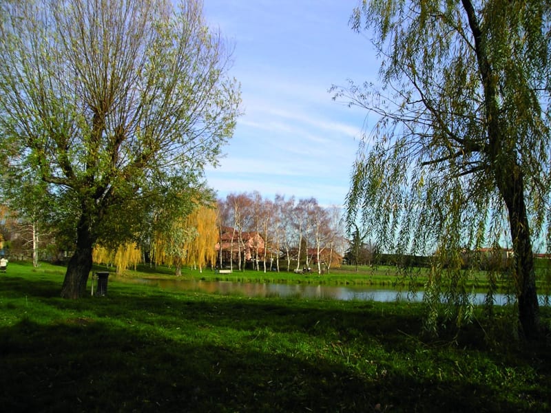 Saint-Laurent-d'Agny et l'étang du Pranil - Saint-Laurent-d'Agny