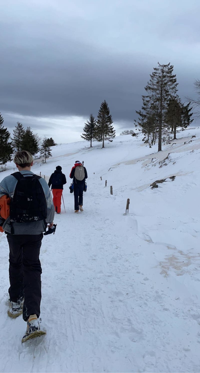 Parc des Ballons des Vosges et petite parenthèse hivernale - Kruth